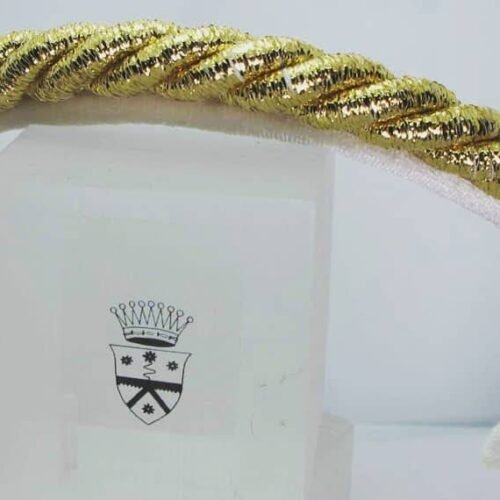 Velvet headband with golden ribbon