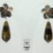 Flower earrings with black carved Tahiti mother of pearl, tiger eye cabochon and teardrop